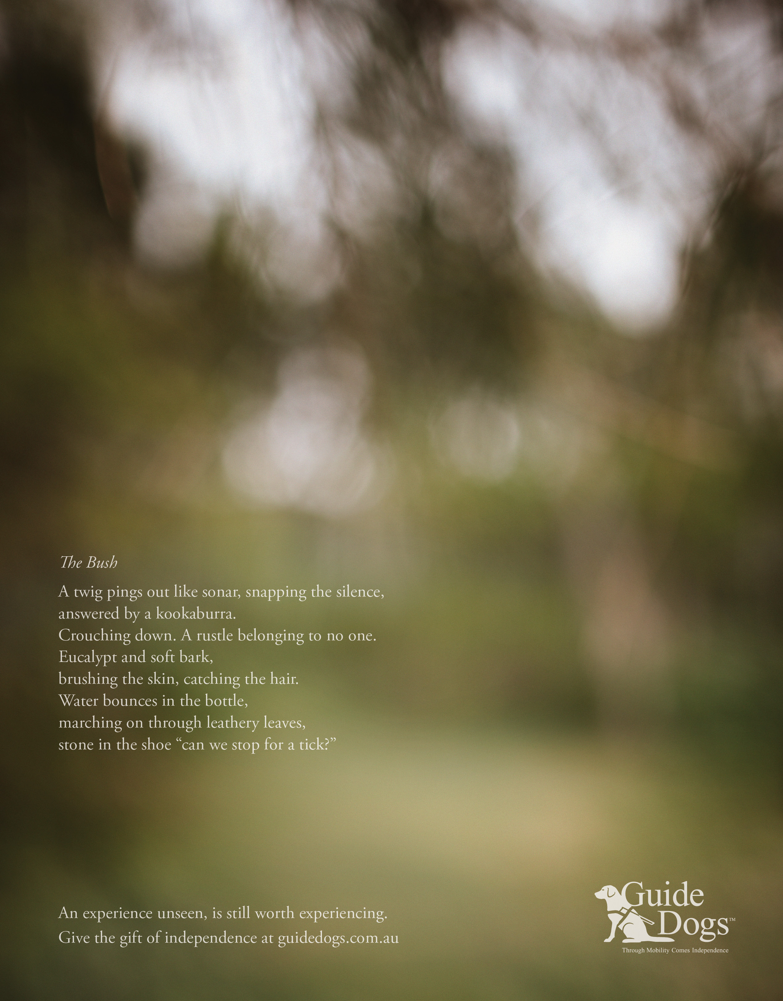 GUIDOG0041_Bush_CARGO