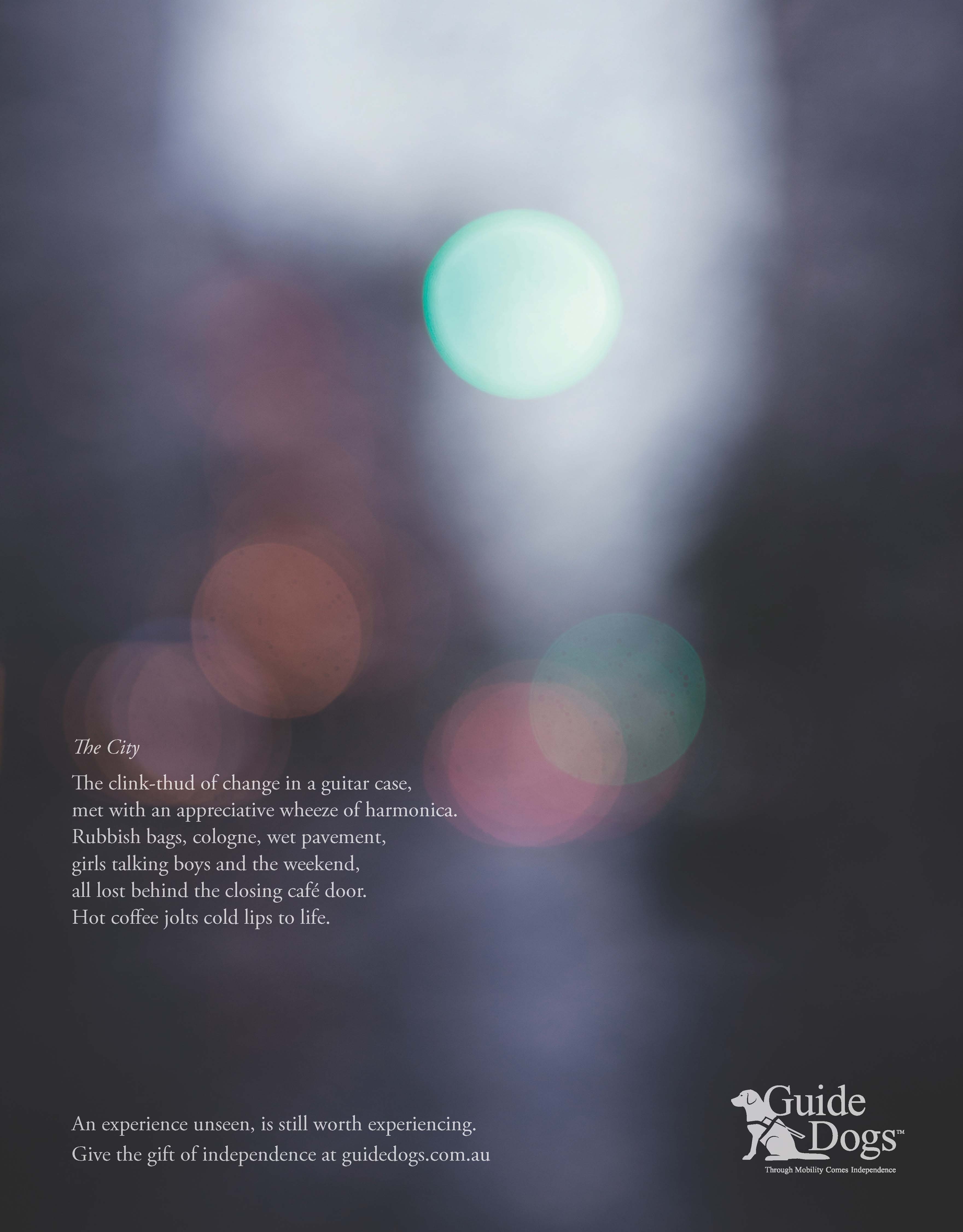 GUIDOG0041_City_CARGO